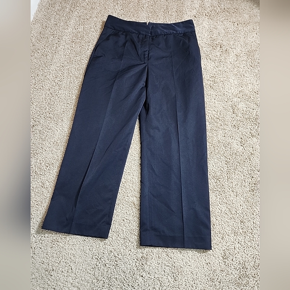 Zara Womens Pants Blue Size 28 Basic Collection Dress Pant Career